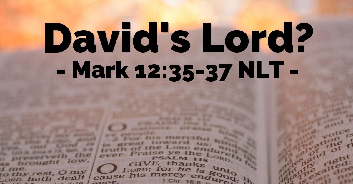 David s Lord Mark 12 35 37 What Jesus Did david-s-lord-mark-12-35-37-what-jesus-did