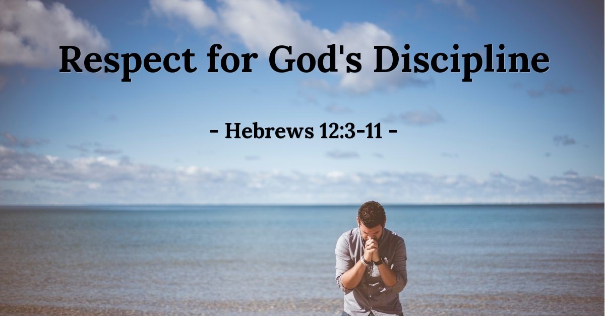 Respect For God s Discipline Hebrews 12 3 11 Praying With Paul respect-for-god-s-discipline-hebrews-12-3-11-praying-with-paul