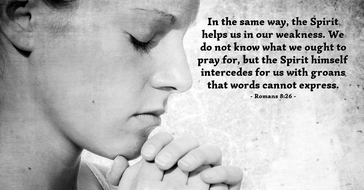 Romans 826 — Verse of the Day for 08/26/2013