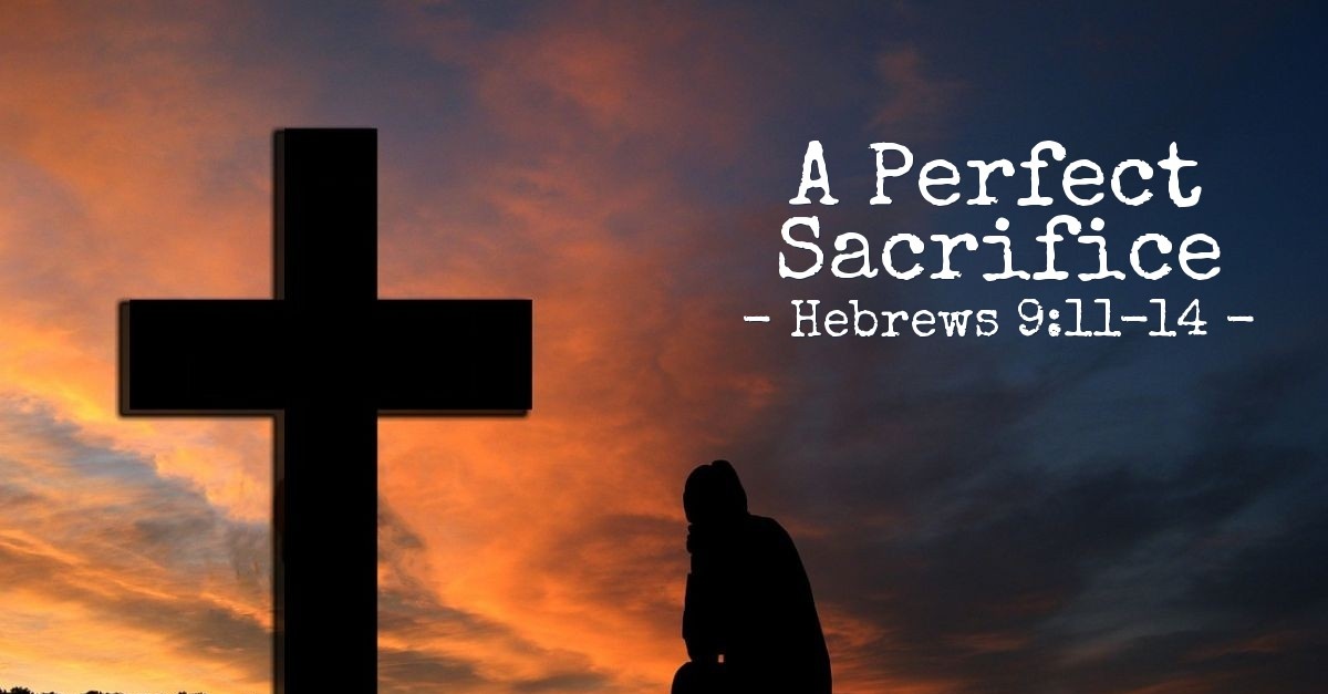 A Perfect Sacrifice Hebrews 9 11 14 Praying With Paul