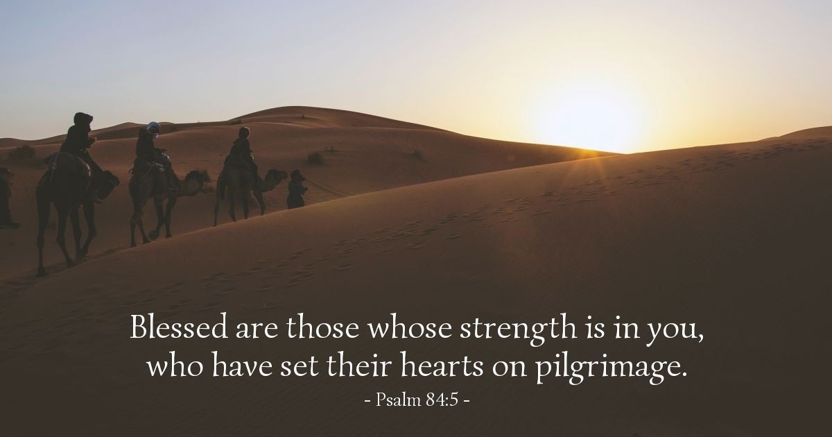 Psalm 84 5 Daily Wisdom For Wednesday June 11 2025 psalm-84-5-daily-wisdom-for-wednesday-june-11-2025
