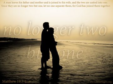 PowerPoint Background: Matthew 19:5-6 Text