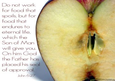 Illustration of the Bible Verse John 6:27