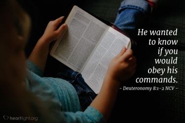Illustration of the Bible Verse Deuteronomy 8:1-2 NCV