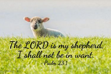 Illustration of the Bible Verse Psalm 23:1