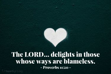 Illustration of the Bible Verse Proverbs 11:20