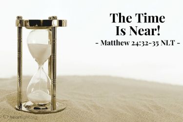 Illustration of the Bible Verse Matthew 24:32-35 NLT