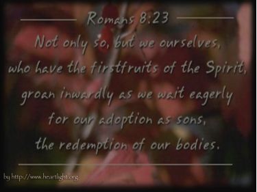 PowerPoint Background: Romans 8:23 Main