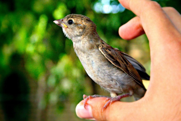 Read Today's 'Daily Wisdom' Devotional