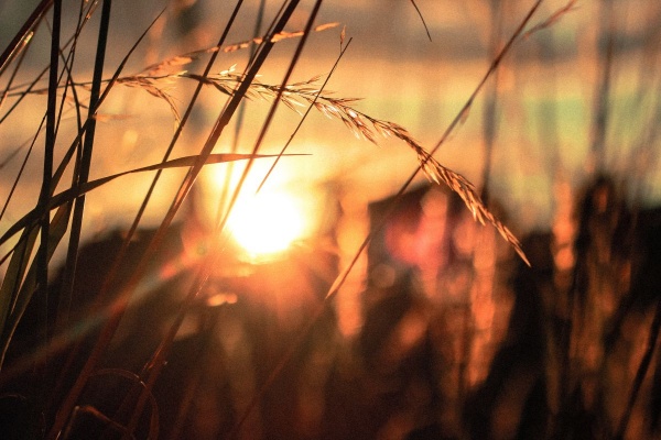 Read Today's 'Morning & Evening' Devotional