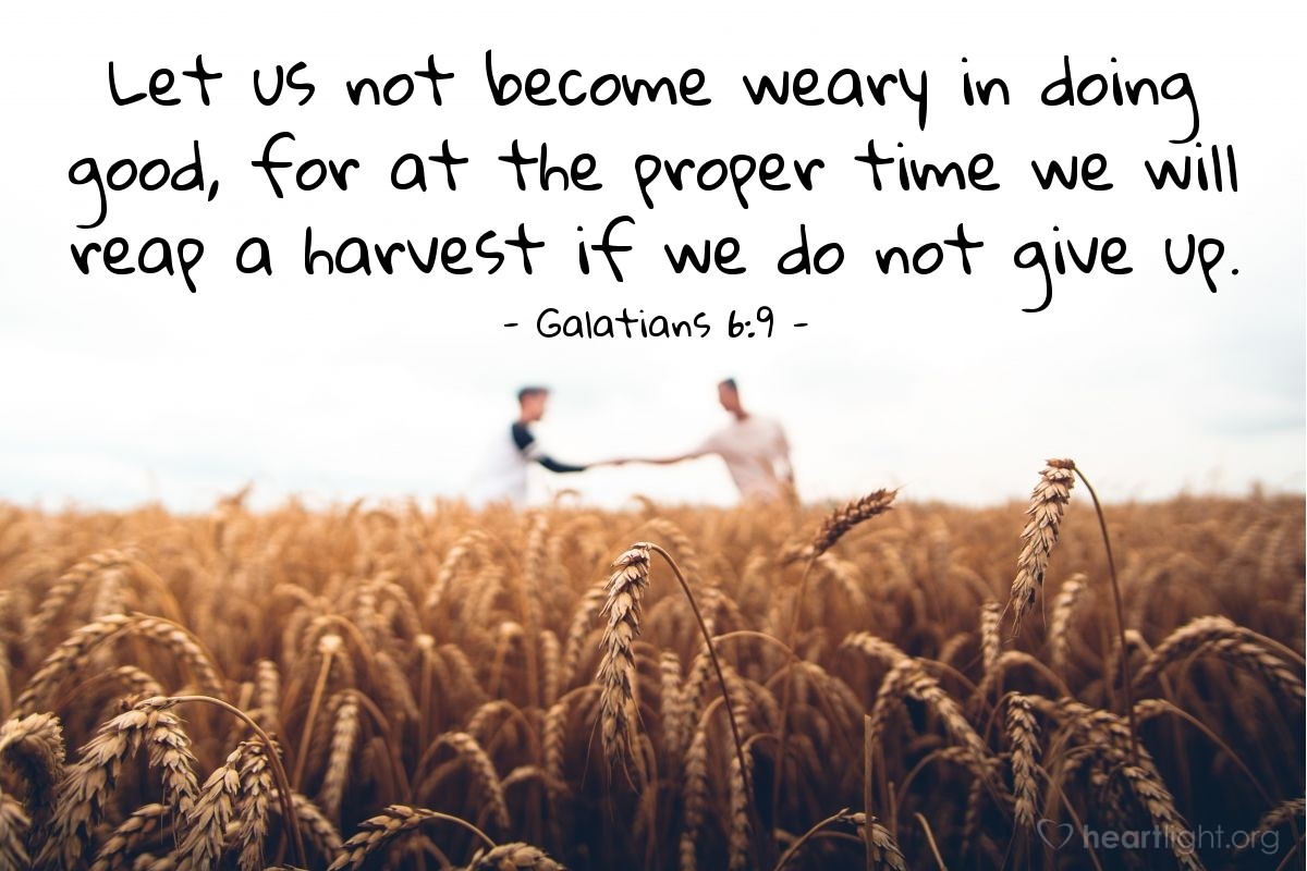 Illustration of Galatians 6:9 — Let us not become weary in doing good, for at the proper time we will reap a harvest if we do not give up.
