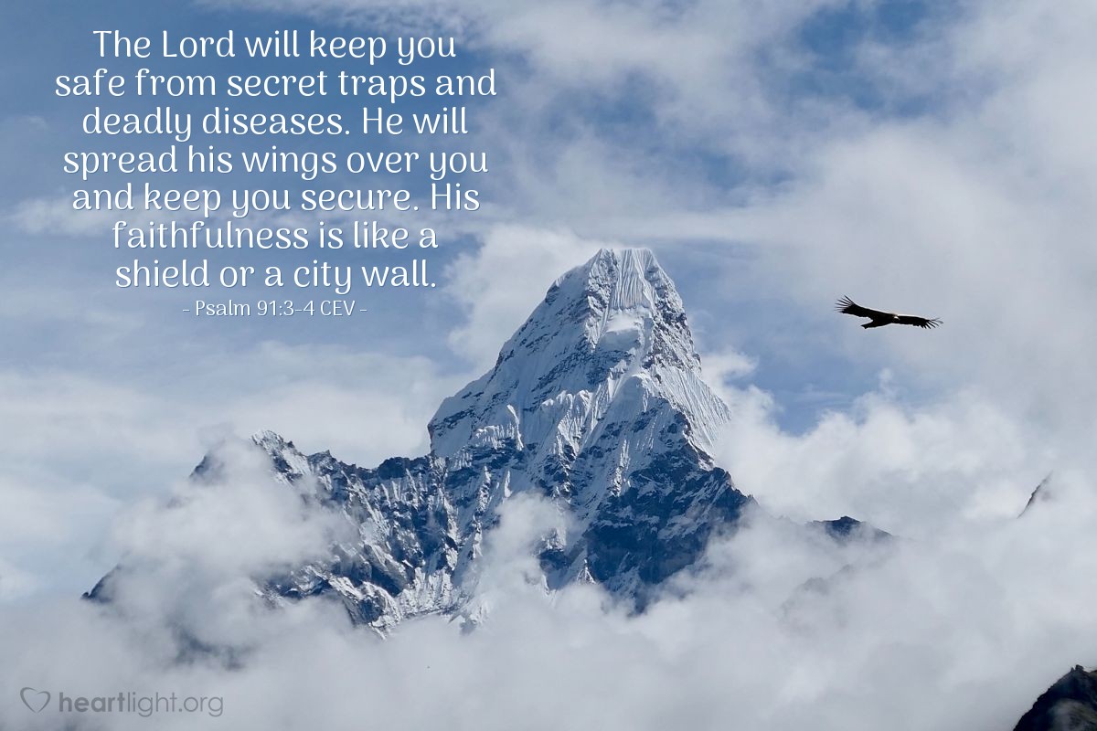 Illustration of Psalm 91:3-4 CEV — The Lord will keep you safe from secret traps and deadly diseases.  He will spread his wings over you and keep you secure.  His faithfulness is like a shield or a city wall.