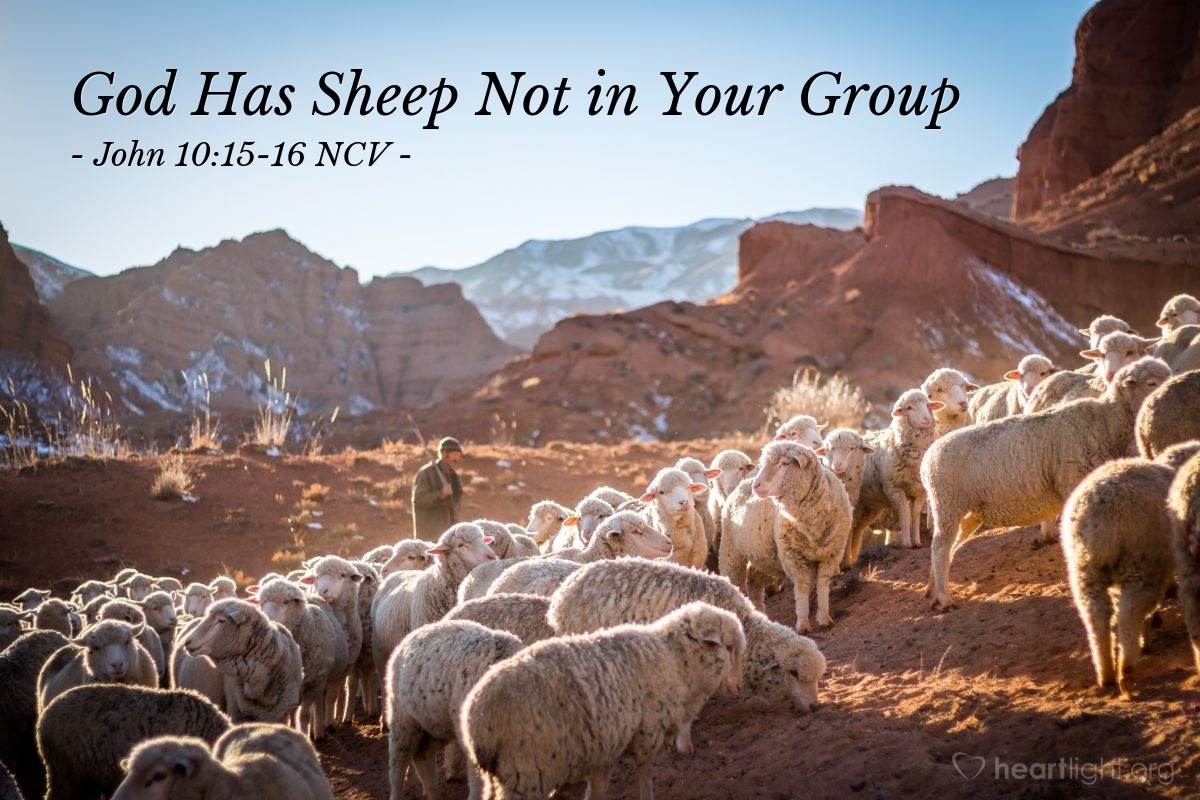 Illustration of John 10:15-16 NCV — Just as the Father knows me, and I know the Father. I give my life for the sheep. I have other sheep that are not in this flock, and I must bring them also. They will listen to my voice, and there will be one flock and one shepherd.