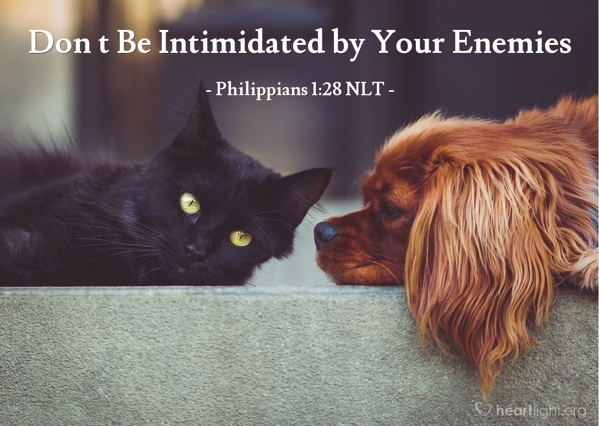 Illustration of Philippians 1:28 NLT — Don’t be intimidated in any way by your enemies. This will be a sign to them that they are going to be destroyed, but that you are going to be saved, even by God himself.