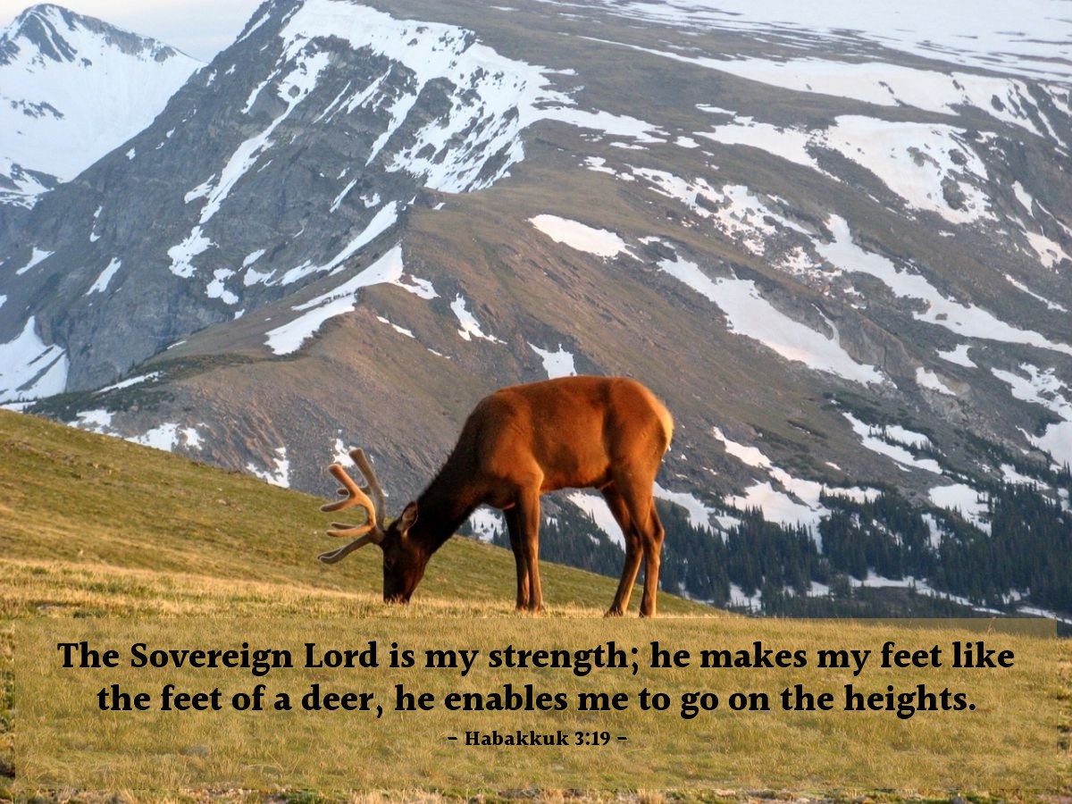 Illustration of Habakkuk 3:19 — The Sovereign Lord is my strength; he makes my feet like the feet of a deer, he enables me to go on the heights.