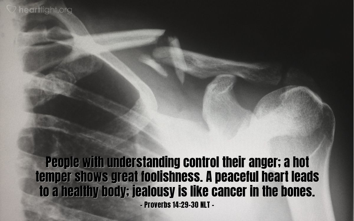 Illustration of Proverbs 14:29-30 NLT — People with understanding control their anger; a hot temper shows great foolishness.  A peaceful heart leads to a healthy body; jealousy is like cancer in the bones.