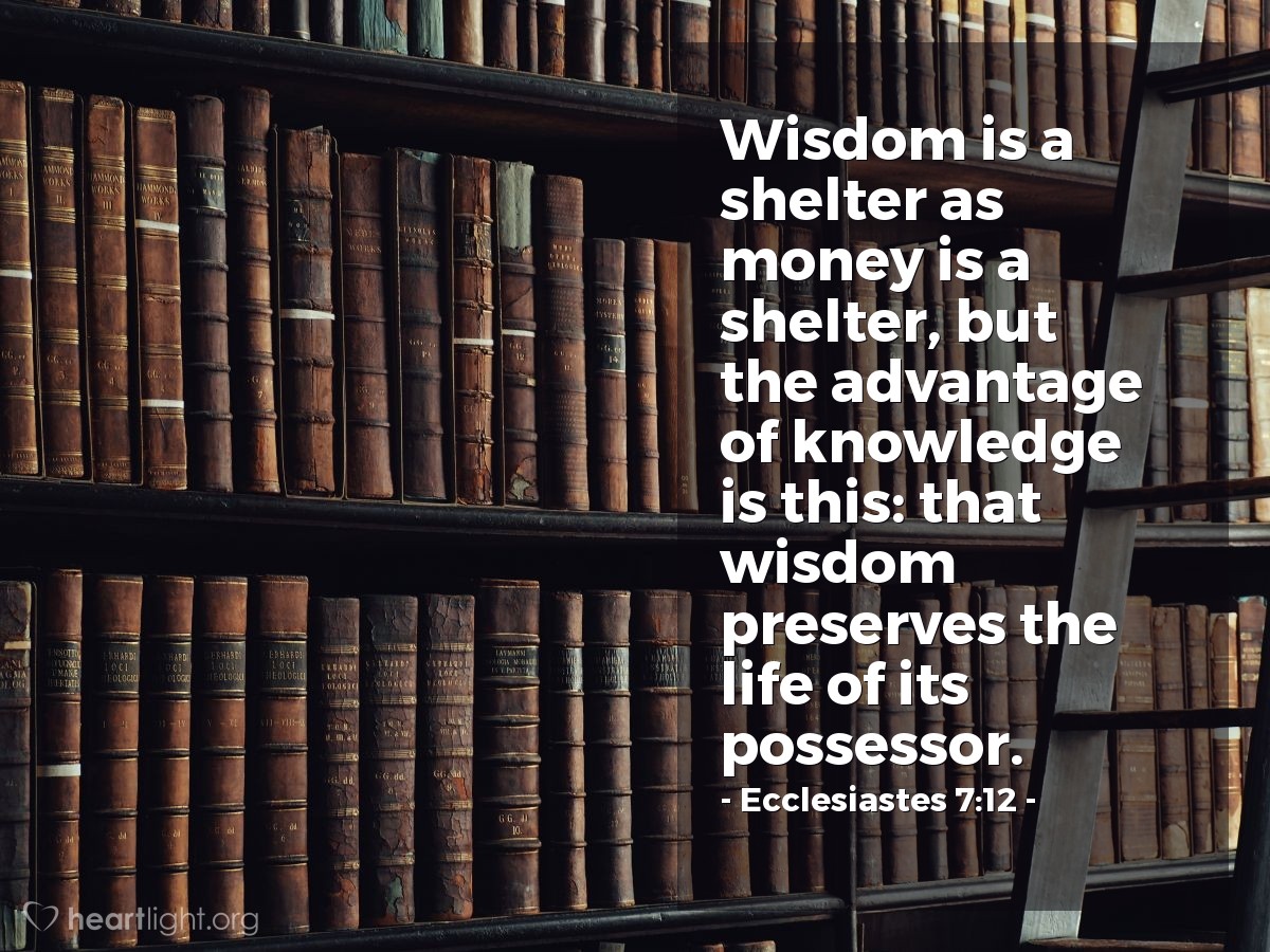 Illustration of Ecclesiastes 7:12 — Wisdom is a shelter as money is a shelter, but the advantage of knowledge is this: that wisdom preserves the life of its possessor.