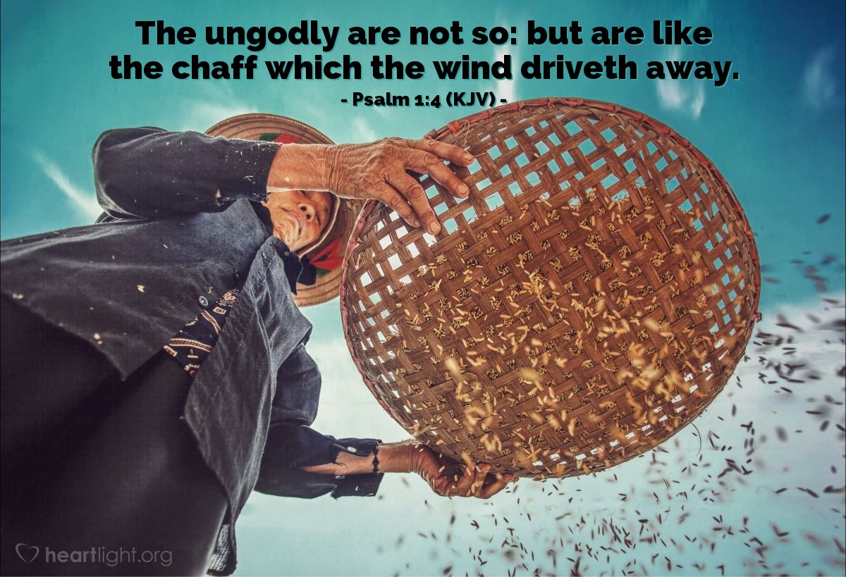 Illustration of Psalm 1:4 (KJV) — The ungodly are not so: but are like the chaff which the wind driveth away.

