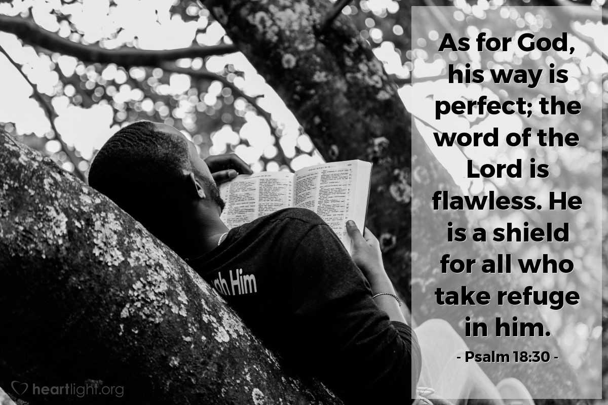 Illustration of Psalm 18:30 — As for God, his way is perfect; the word of the Lord is flawless. He is a shield for all who take refuge in him.