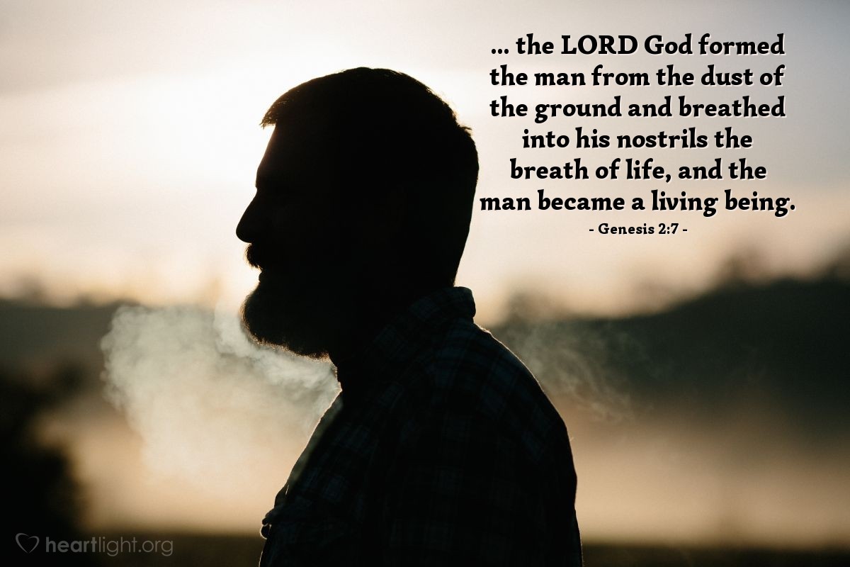 Illustration of Genesis 2:7 — ... the Lord God formed the man from the dust of the ground and breathed into his nostrils the breath of life, and the man became a living being. 