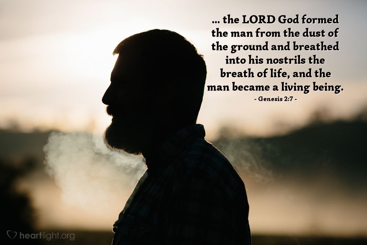 Illustration of Genesis 2:7 — ...the Lord God formed the man from the dust of the ground and breathed into his nostrils the breath of life, and the man became a living being. 