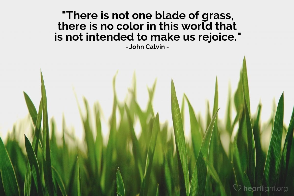 Illustration of John Calvin — "There is not one blade of grass, there is no color in this world that is not intended to make us rejoice."