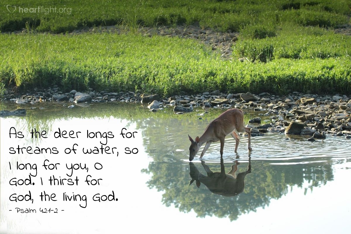 Illustration of Psalm 42:1-2 — As the deer longs for streams of water, so I long for you, O God. I thirst for God, the living God.