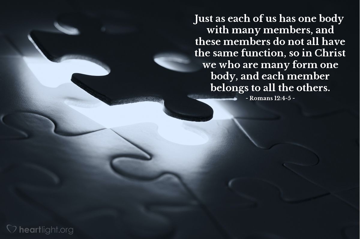 Illustration of Romans 12:4-5 — Just as each of us has one body with many members, and these members do not all have the same function, so in Christ we who are many form one body, and each member belongs to all the others.