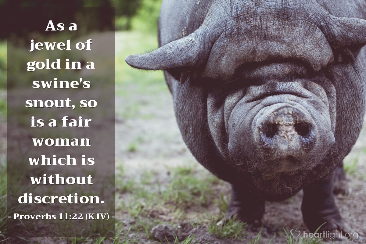 Illustration of Proverbs 11:22 (KJV) — As a jewel of gold in a swine's snout, so is a fair woman which is without discretion.