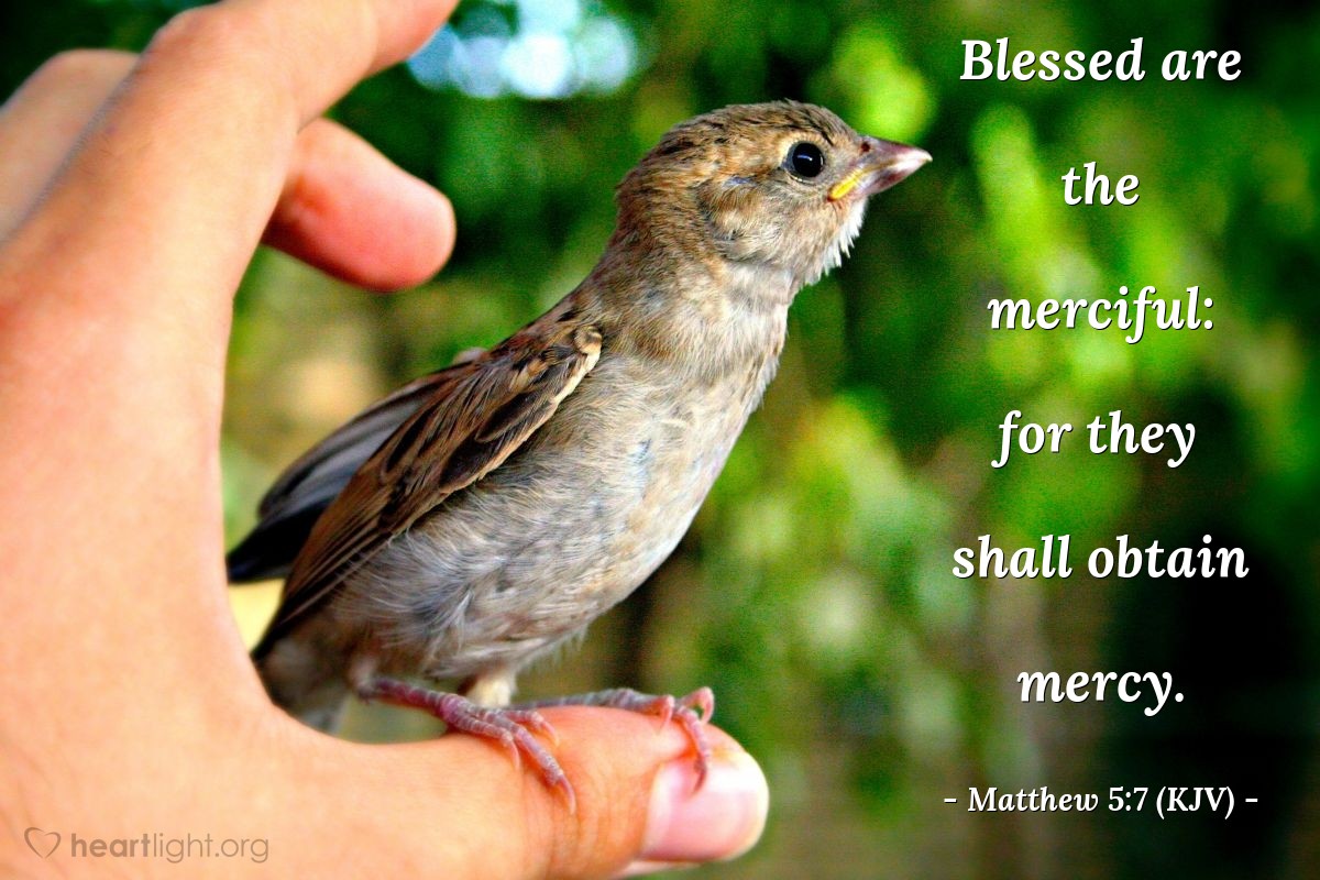 Illustration of Matthew 5:7 (KJV) — Blessed are the merciful: for they shall obtain mercy.