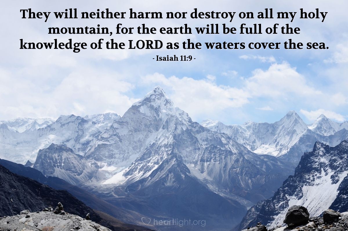 Illustration of Isaiah 11:9 — They will neither harm nor destroy on all my holy mountain, for the earth will be full of the knowledge of the Lord as the waters cover the sea.