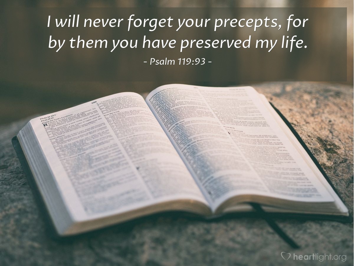 Psalm 119:93 | I will never forget your precepts, for by them you have preserved my life.