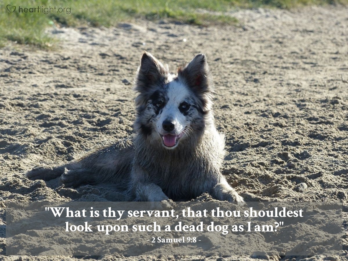 Illustration of 2 Samuel 9:8 — "What is thy servant, that thou shouldest look upon such a dead dog as I am?"