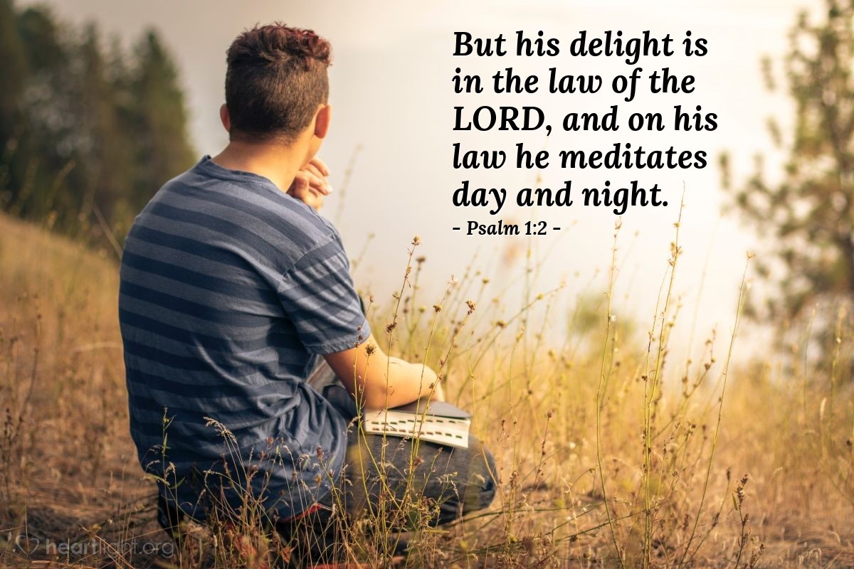 Illustration of Psalm 1:2 — But his delight is in the law of the Lord, and on his law he meditates day and night.
