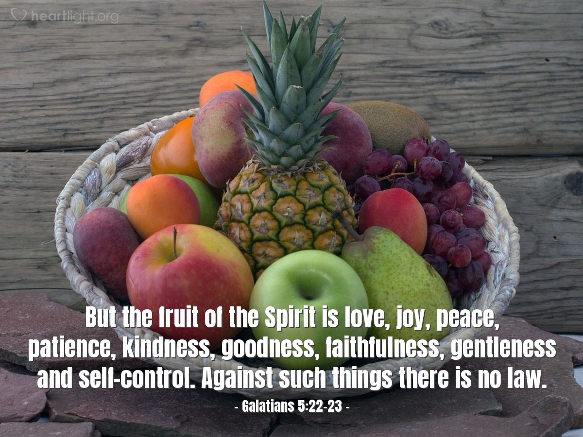 Illustration of Galatians 5:22-23 — But the fruit of the Spirit is love, joy, peace, patience, kindness, goodness, faithfulness, gentleness and self-control. Against such things there is no law.