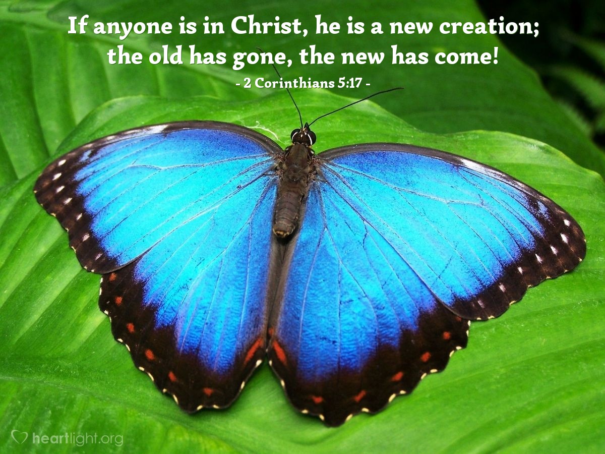 2 Corinthians 5:17 | If anyone is in Christ, he is a new creation; the old has gone, the new has come!