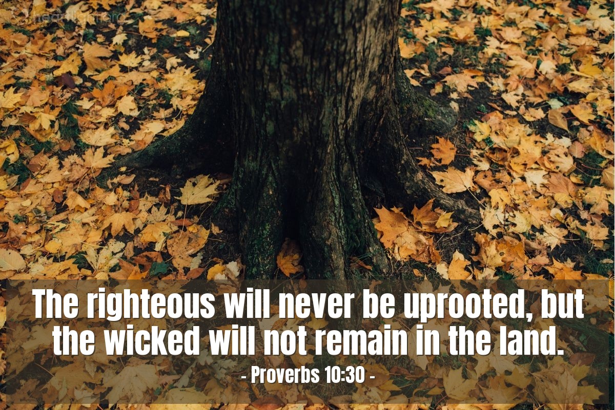 Illustration of Proverbs 10:30 — The righteous will never be uprooted, but the wicked will not remain in the land.