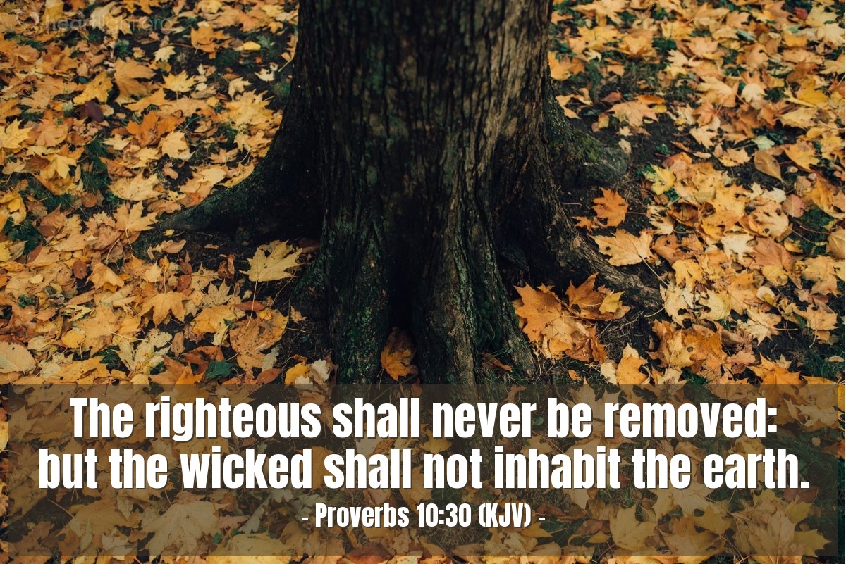 Illustration of Proverbs 10:30 (KJV) — The righteous shall never be removed: but the wicked shall not inhabit the earth.