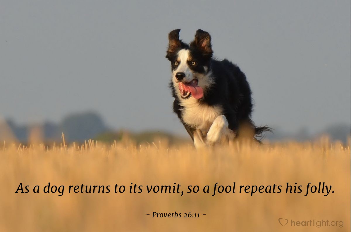 Illustration of Proverbs 26:11 — As a dog returns to its vomit, so a fool repeats his folly.