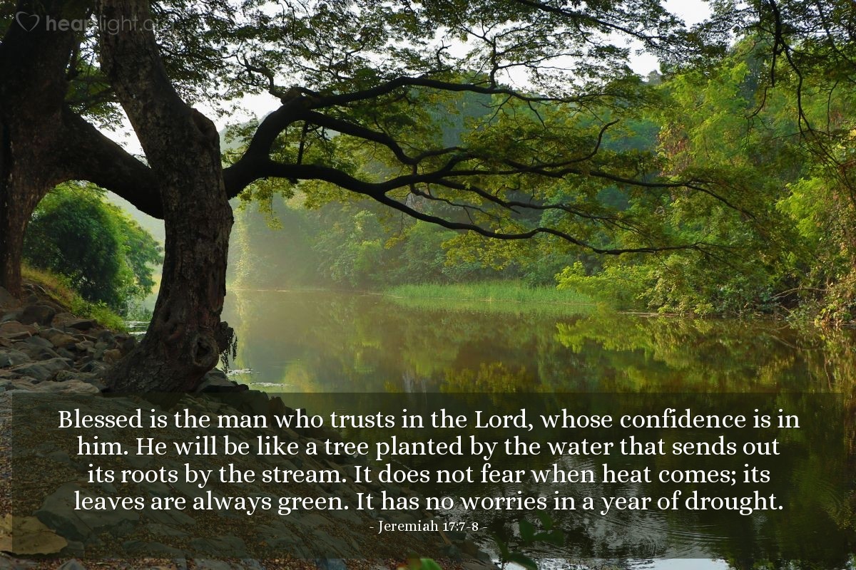 Illustration of Jeremiah 17:7-8 — Blessed is the man who trusts in the Lord, whose confidence is in him. He will be like a tree planted by the water that sends out its roots by the stream. It does not fear when heat comes; its leaves are always green. It has no worries in a year of drought.