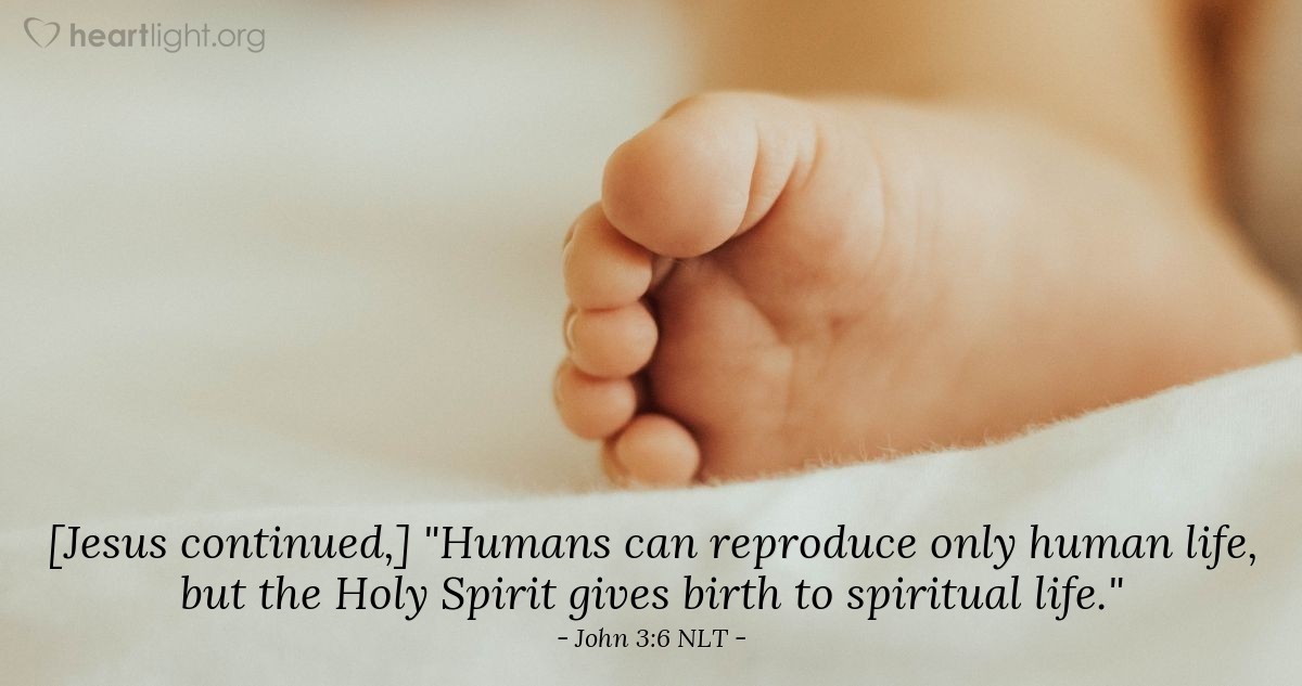 Illustration of John 3:6 NLT — [Jesus continued,] "Humans can reproduce only human life, but the Holy Spirit gives birth to spiritual life."