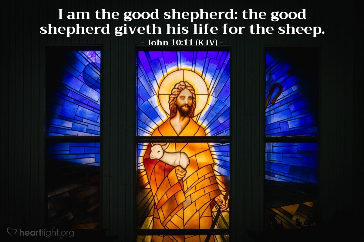 Illustration of John 10:11 (KJV) —  I am the good shepherd: the good shepherd giveth his life for the sheep. 