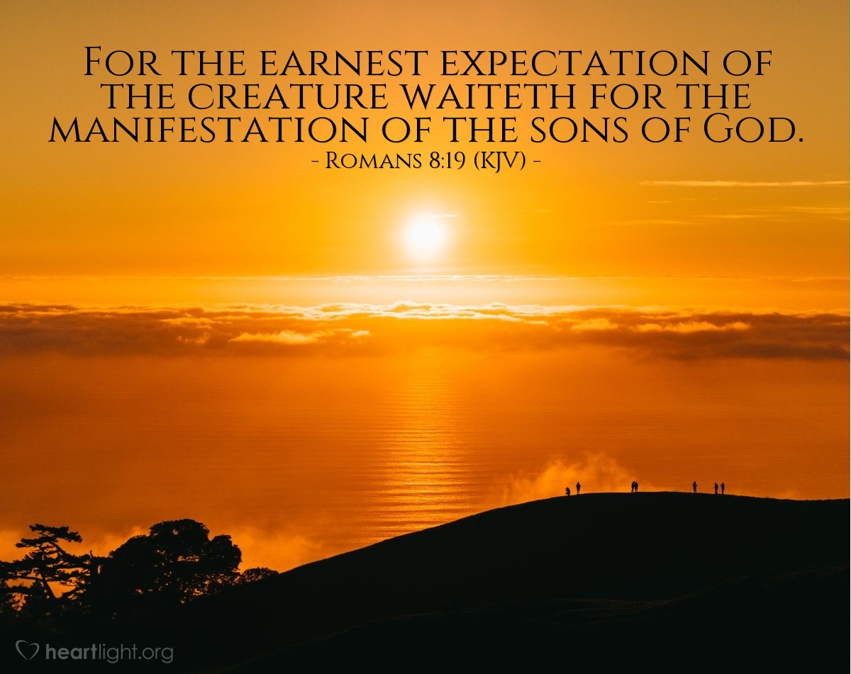 Illustration of Romans 8:19 (KJV) — For the earnest expectation of the creature waiteth for the manifestation of the sons of God.