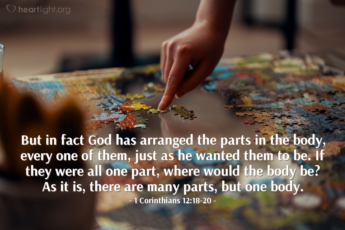 Illustration of 1 Corinthians 12:18-20 — But in fact God has arranged the parts in the body, every one of them, just as he wanted them to be. If they were all one part, where would the body be? As it is, there are many parts, but one body.