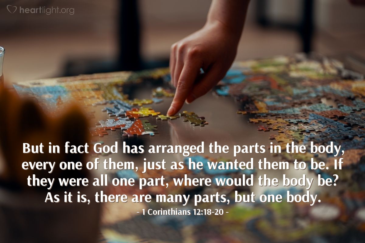 1 Corinthians 12:18-20 | But in fact God has arranged the parts in the body, every one of them, just as he wanted them to be. If they were all one part, where would the body be? As it is, there are many parts, but one body.