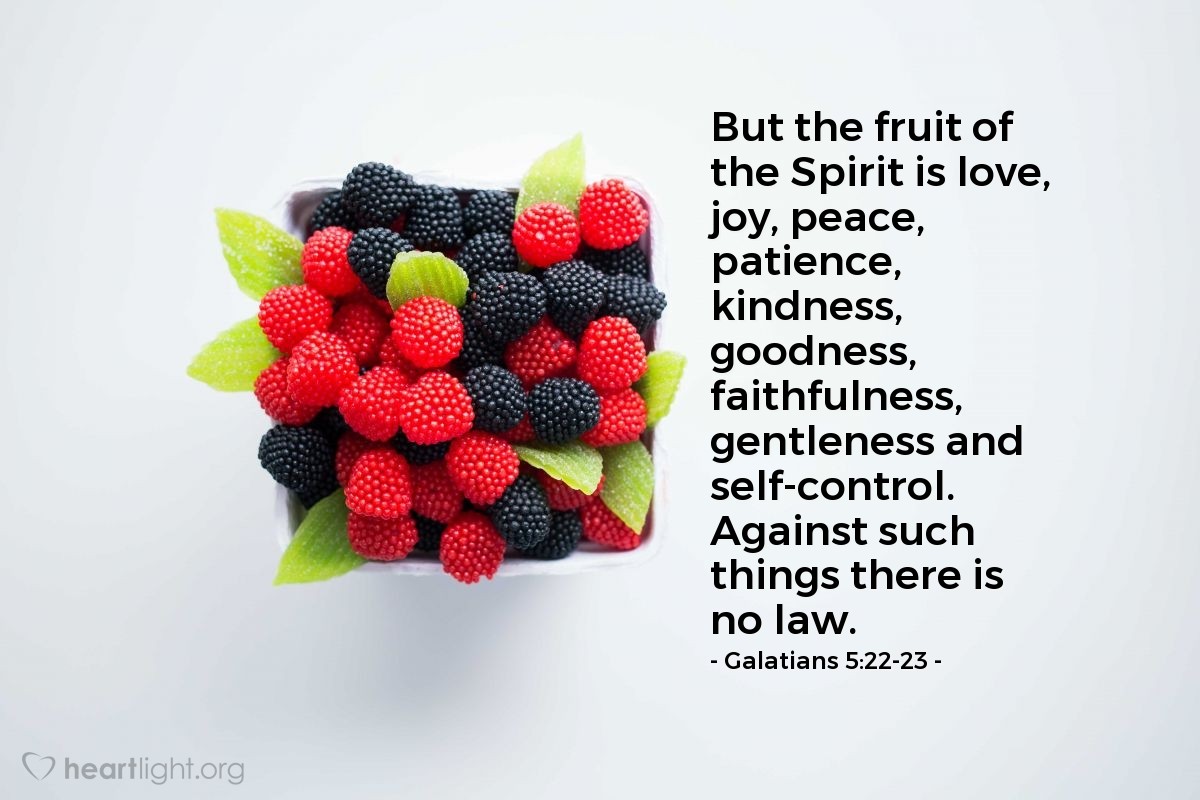 Illustration of Galatians 5:22-23 — But the fruit of the Spirit is love, joy, peace, patience, kindness, goodness, faithfulness, gentleness and self-control. Against such things there is no law.