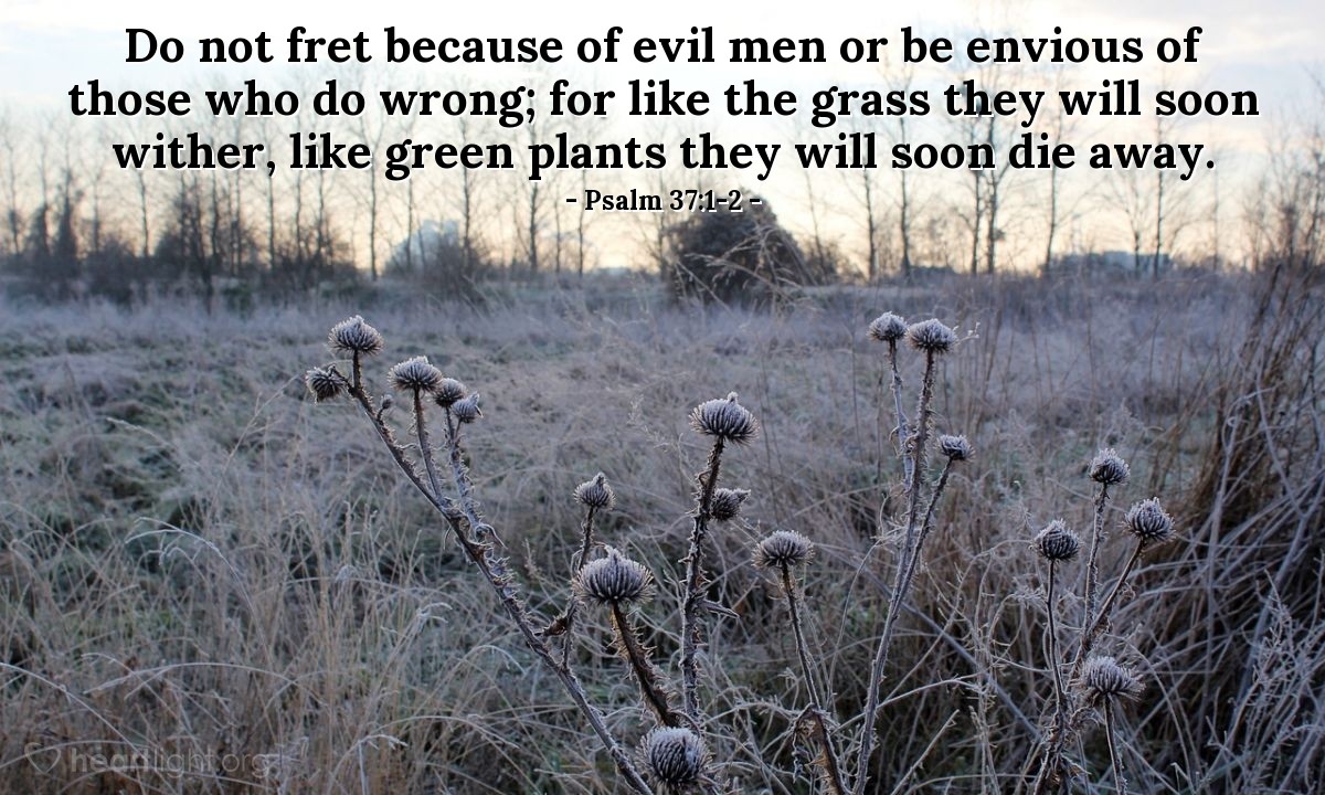 Psalm 37:1-2 | Do not fret because of evil men or be envious of those who do wrong; for like the grass they will soon wither, like green plants they will soon die away.