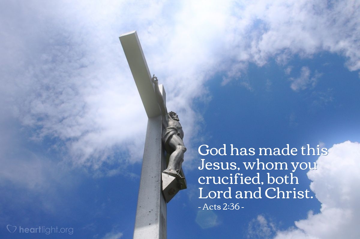 Acts 2:36 | God has made this Jesus, whom you crucified, both Lord and Christ.