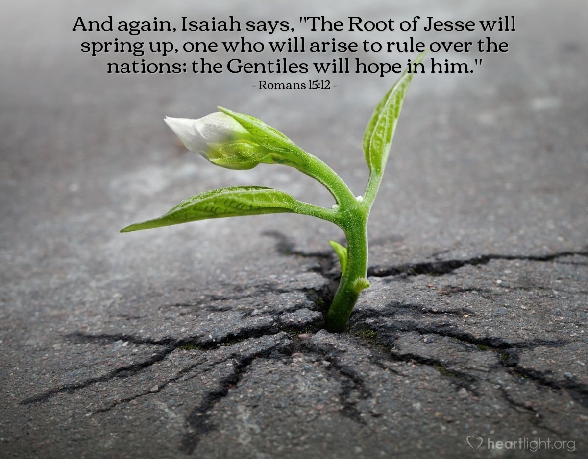 Illustration of Romans 15:12 — And again, Isaiah says, "The Root of Jesse will spring up, one who will arise to rule over the nations; the Gentiles will hope in him."