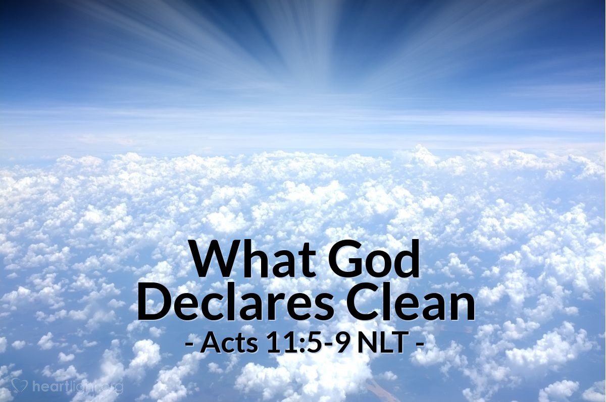 Illustration of Acts 11:5-9 NLT — [Peter explained to his Jewish critics why he went to Cornelius' house:] "I was in the town of Joppa," he said, "and while I was praying, I went into a trance and saw a vision. Something like a large sheet was let down by its four corners from the sky. And it came right down to me. When I looked inside the sheet, I saw all sorts of tame and wild animals, reptiles, and birds. And I heard a voice say, 'Get up, Peter; kill and eat them.'

"'No, Lord,' I replied. 'I have never eaten anything that our Jewish laws have declared impure or unclean.'

"But the voice from heaven spoke again: 'Do not call something unclean if God has made it clean.'"